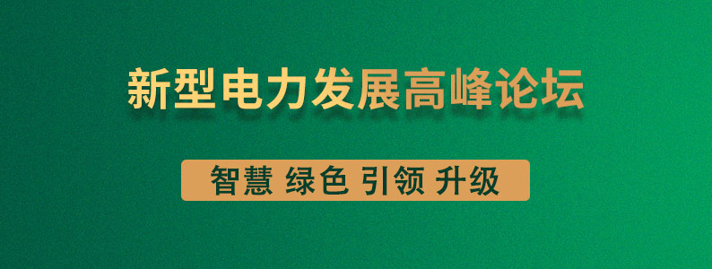 新型電力發(fā)展高峰論壇